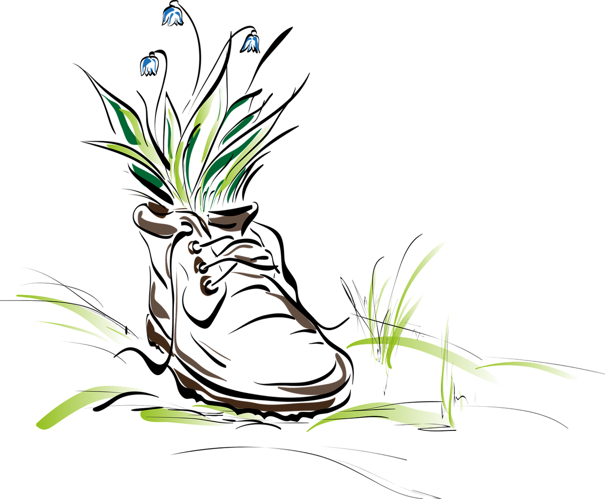 Изображение с сайта Pixabay