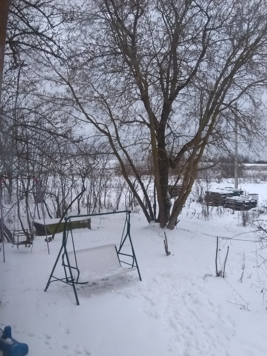 Наконец-то снег.