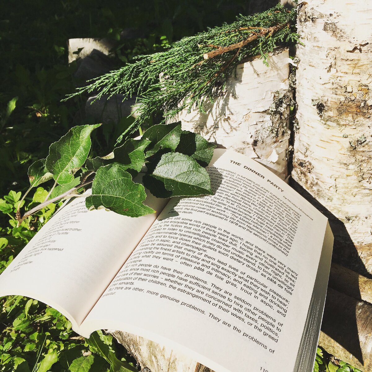 Английский в парке