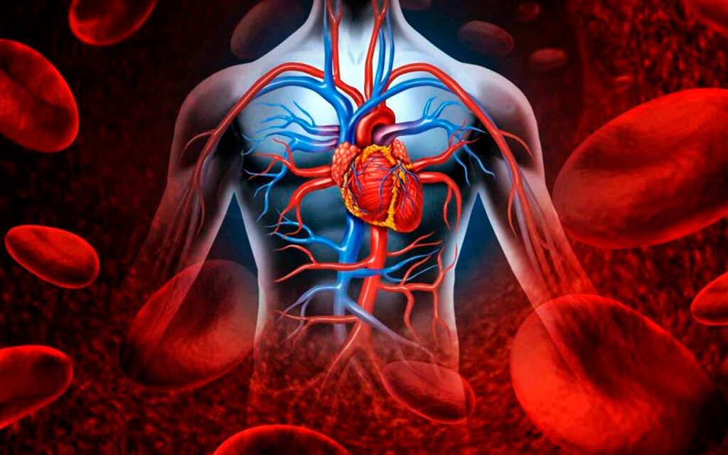 Злокачественные болезни крови