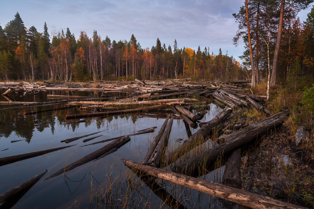 Что мы увидели на реке во время сплава, где в советское время сплавляли лес.