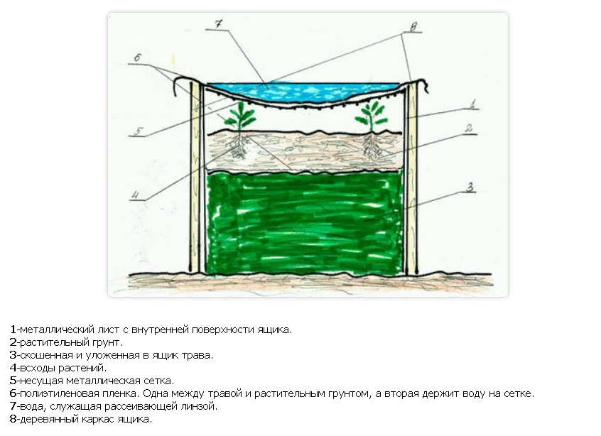 Схема обрыва огурцов