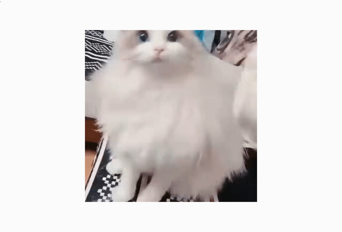 Кусь за то что не понял какая я пушистая!