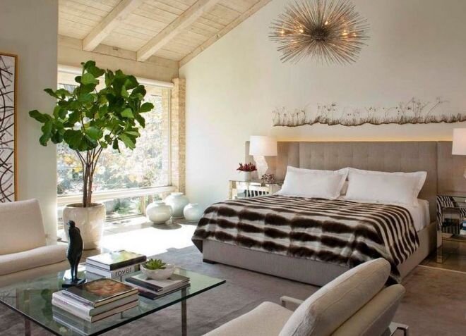 Растение в интерьере