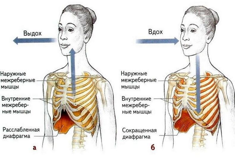 Спазм сосудов головного мозга