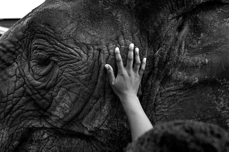 Фото: Мартин Дам Кристенсен