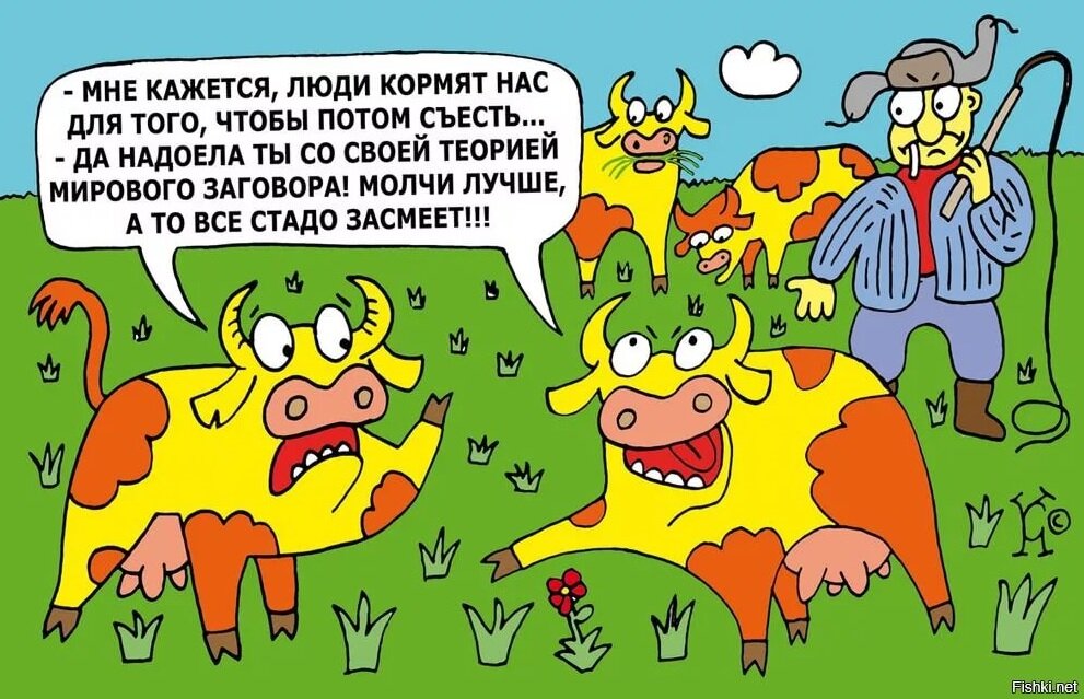 Рисунок из открытого источника в Яндексе