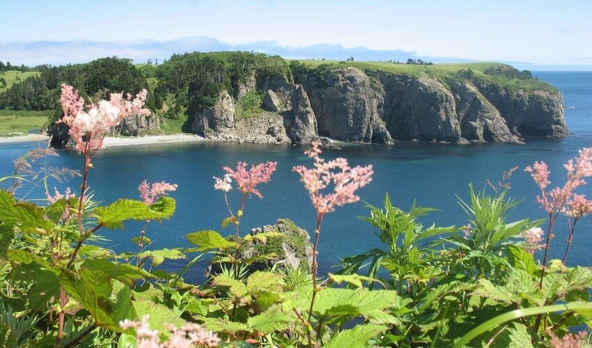 Фото: архив skr.su