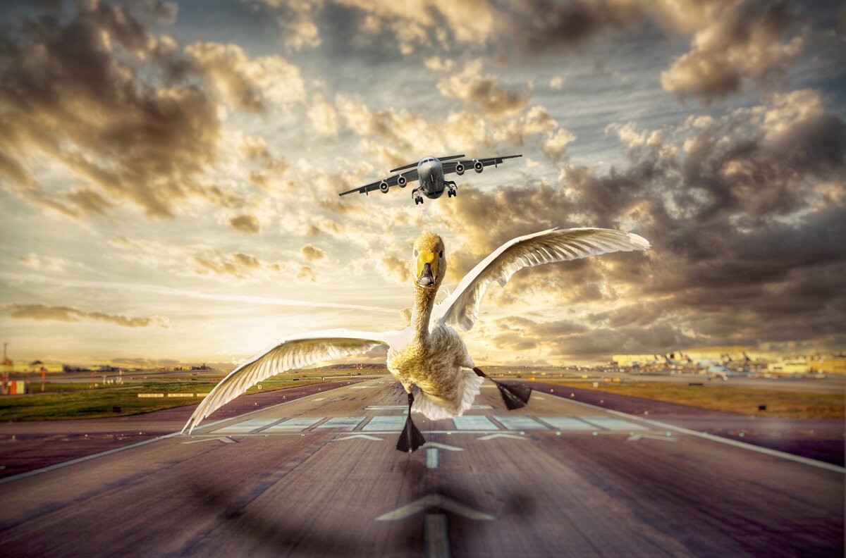     Фразу sic trancit gloria mundi стоило бы закрепить на гербе зауральского городка Берёзово в качестве исторически обоснованного девиза – уж слишком у многих земных владык здесь окончилась земная слава. И не только слава – многие так и покоятся здесь, кто с миром, кто в беспокойстве. Наиболее известен среди обесславленных и упокоенных главный птенец гнезда Петрова светлейший князь Александр Данилович Меншиков – все помнят ещё из школьных лет полный обречённости и безысходности групповой портрет Сурикова. Но помимо светлейшего подрастеряли здесь славу, влияние и самоё жизнь и изворотливый и хитроумный граф Андрей Иванович Остерман, и самоуверенный и нахрапистый князь Алексей Григорьевич Долгоруков. Многие из декабристов нашли здесь вечное пристанище. Вырваться из цепких объятий Северной Сосьвы – местной речки – сумел лишь Лев Давыдович Троцкий, но и его слава померкла, пусть и более тёплых краях.
    Увы, слава отобранная не сумела стать для города славой приобретённой. Семь тысяч жителей, одна асфальтированная на весь город дорога и жизнь от навигации до навигации. А в период осенне-весенней распутицы и вовсе «в этот край таёжный только самолётом можно долететь». Но то в песне, а на деле…
    А на деле в городе две взлётно-посадочных полосы – военная и гражданская. Военная – узкие листы гофрированной стали, проложенные поперёк движения воздушных судов (при взлёте и посадке они красиво поднимаются по краям полосы, салютуя стальным летающим собратьям). Гражданская – грунтовая вырубка, садиться на которую худо-бедно можно только погожей зимой или сухим летом. С такими ограничениями в логистике основной рацион жителей – крупы, макароны и то, чем богата Сосьва и окружающие леса. Летом каждый кормилец в Берёзове ловит рыбу, зимой ходит по лесам с ружьём.
    И вот в такой земной рай занесла судьба и желание хоть и за деньги, но творить добро, двух молодых людей. Цель была у них очень благородная – переговоры с местными властями, результатом которых должна была стать железобетонная взлётно-посадочная полоса, способная достаточное время функционировать в суровых условиях без ежегодного ремонта. Такой наглой самоуверенности в Берёзове себе не позволяла даже военная «взлётка» - каждую весну на её ремонт исправно выделяли некоторую сумму. Естественно, ребята тоже были не меценаты, и планировали на этом заработать. Но честно.
    Визит был согласованный, товарищей ждали. Встретили, приветили, обсудили смету. Сумма подряда по расчётам выходила под триста миллионов в отечественной валюте. Заказчика строка «итого» устраивала, но необходимо было посоветоваться со старшими товарищами. Местная власть ушла в уютный сумрак дубовых кабинетов с телефонами без наборных дисков. Приезжие пилигримы отправились изучать суровую, но прекрасную ханты-мансийскую природу и традиционные промыслы. Так как на дворе было лето, занялись рыбалкой.
    Скоро на Руси сказка сказывается, да не скоро дело делается. А в России между сказками и делами расстояния и вовсе астрономические. Прошла неделя. Рыбы в Сосьве много, но ловить её уже не интересно – стали попадаться ранее отпущенные особи и родственники особей засушенных или съеденных. Ихтиология реки и притоков изучена, сфотографирована, в социальные сети запощена. Могилы знаменитых невольных жителей Берёзова посещены. Каменные бюсты светлейшего князя и продавщицы из продуктового изучены. С каждой новой бутылкой водки всё сильнее хочется на малую родину. 
Наконец раздаётся долгожданный звонок. Парни моются, бреются, с радостным предвкушением ожидают подписания договора, с тревожным – неминуемого торжественного празднования этого события. В том самом дубовом кабинете садятся друг напротив друга за длинный стол для заседаний, с почтительным молчанием переводят взгляды с фотографического портрета на стене на те самые телефоны без дисков и кнопок и выжидательно фокусируют все четыре глаза на лысеющей голове местного головы. Голова головы глаз на ребят не поднимает. Ребята начинают подозревать, что радостного повода может не случиться, но причина неясна. Смета честная, повод торговаться есть, а отказывать – нет.  
Наконец местная власть обретает дар сбивчивой, но всё-таки членораздельной речи. Запинаясь от испытываемой неловкости, «хозяин тайги» пускается сначала в комплименты: проект отличный, «взлётка» нужна городу не меньше, чем воздух, дорогу в который она открывает, реализация данного проекта даст мощный импульс к развитию города и долгожданной конвертации потерянной в нём столькими людьми разной степени достойности земной славы. Но! Как говорит один мой мудрый знакомый, всё, что сказано до слова «но», не имеет значения. Исключений из этой максимы я пока не встречал. Триста миллионов за такой проект старшие товарищи из московских кабинетов не готовы согласовать.
Ребята выдыхают накопившийся в их молодых лёгких за время властного монолога воздух. К торгу они готовы, запас для этого в смету заложен. Снова вспоминается незабвенный Михаил Николаевич Задорнов с его «наберите побольше воздуха в грудь» - рано выдохнули парни. Время испытывать гордость за родную страну ещё не наступило.
- Ребята… Триста миллионов – это несерьёзно (мхатовская пауза). Сделайте смету на миллиард хотя бы, - с интонациями застенчивого ильфо-петровского Александра Яковлевича произносит лысеющий глава.
Выдыхать ребятам уже нечего. Они начинают понимать и сочувствовать каждой вытащенной ими за неделю из речной обители рыбе. Они также пучат глаза и делают судорожные движения ртом. Ребята молодые и честные. У них в глазах мелькают не цифры на счётчике банкнот, а номера статей УК РФ. То ли от потрясения, то ли по неопытности они ещё пытаются торговаться в обратную сторону:
- Ну… Может четыреста? Ну точно не больше полумиллиарда…
Ах, молодость! Как говорил другой герой уже упомянутых Ильфа и Петрова – торг здесь не уместен! Особенно когда речь идёт о судьбах людей!
Итог совсем неуникален. В обратный путь гости взлетали под грохот стальных полос военной ВПП. Сочувственными взглядами их провожал каменный Меншиков и грустная продавщица продуктового. Подозрительными взглядами спустя несколько часов кололи их спины в Москве все пассажиры самолёта – ребята везли в сумках недельный улов севернососьвинсокой рыбы.  
