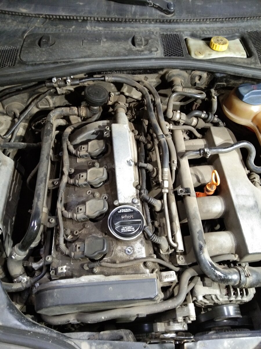 Фото из личного архива