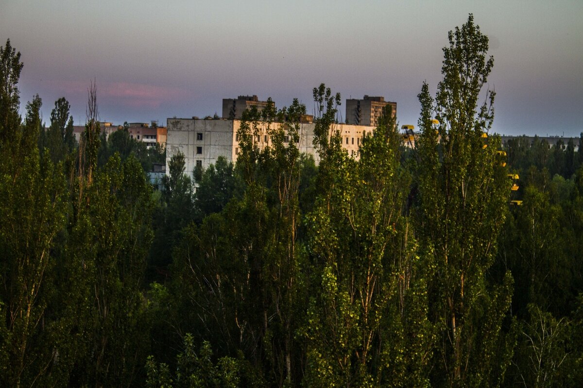 Вид на городской парк культуры уже закрыли деревья