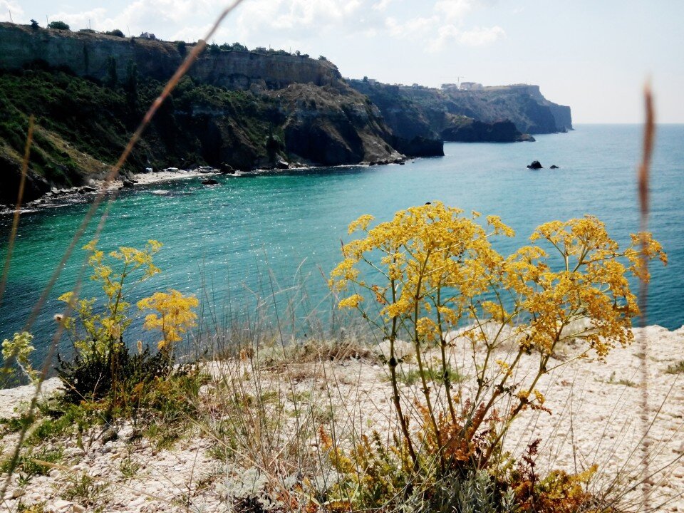 Вид из палаточного городка 