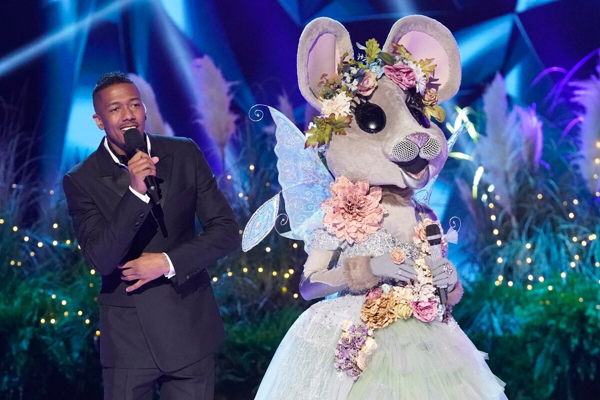 The masked Singer шоу маска