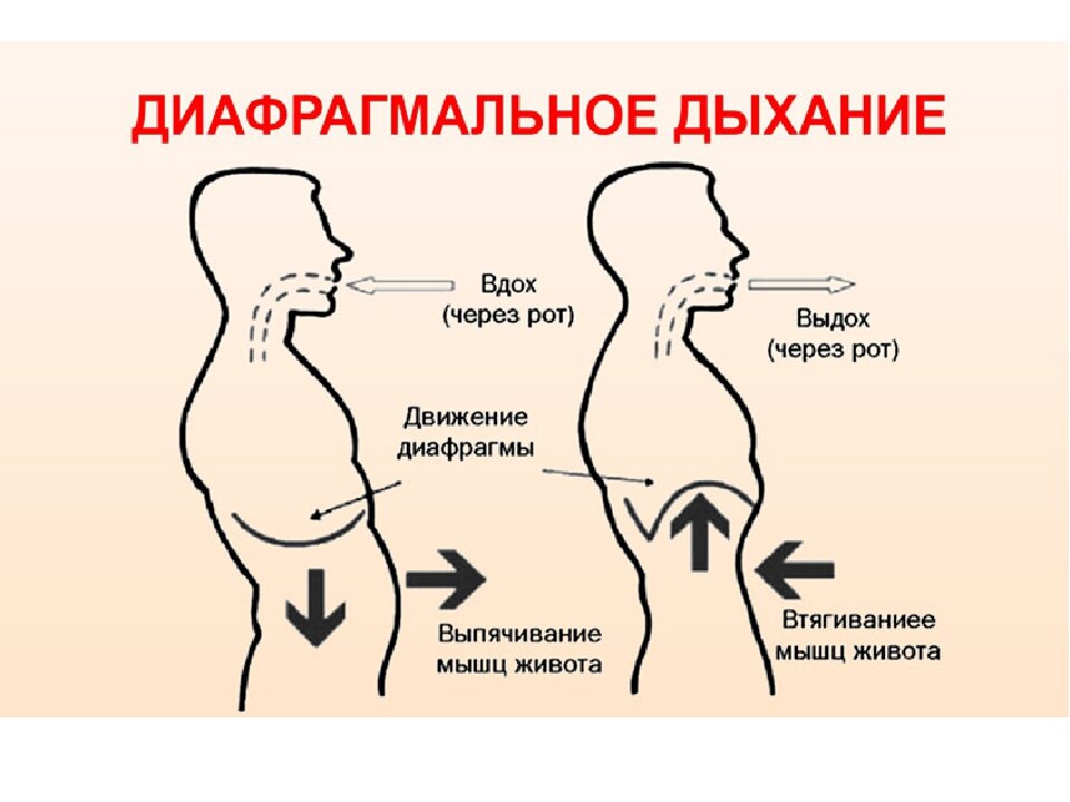 механизм работы диафрагмы
