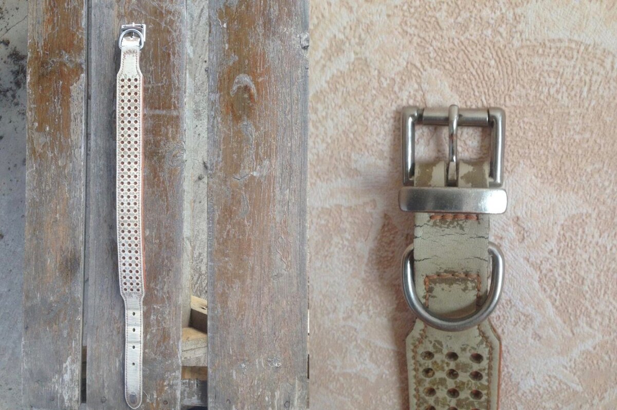 Тот самый ошейник