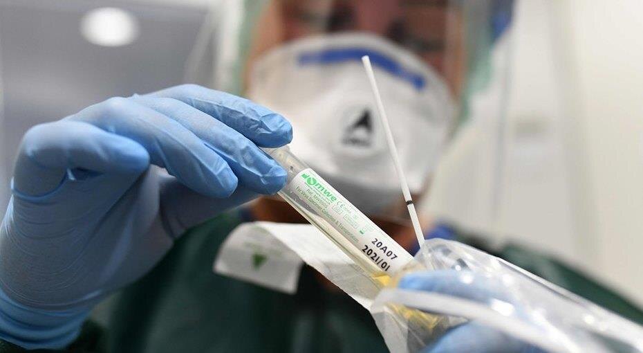 Фото - yandex.ru