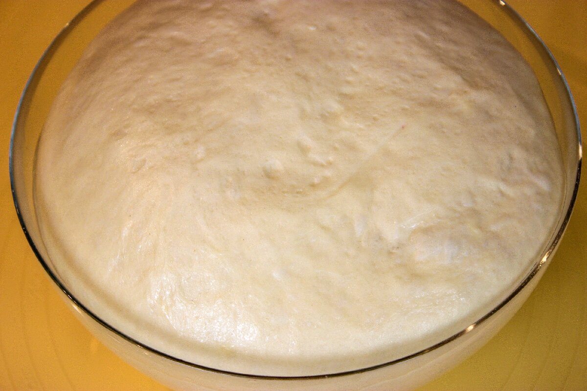 Тесто для пирога. Шпаргалка для теста. Рецептура дрожжевого теста. Дрожжевое тесто для пирога. Дрожжевое тесто для пирожков в духовке.