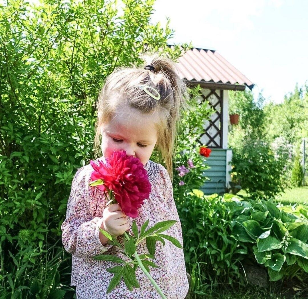 "Игры на свежем воздухе".