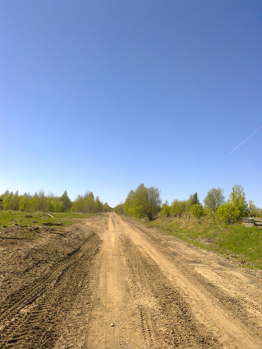 Таежка 8 дзен. Таежка 8 дзен. Таежка 8 дзен. Прострел болезнь. Таёжка.