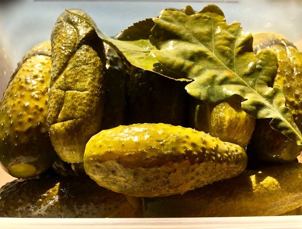 Огурчики с дубовыми листочками и корнем хрена.
