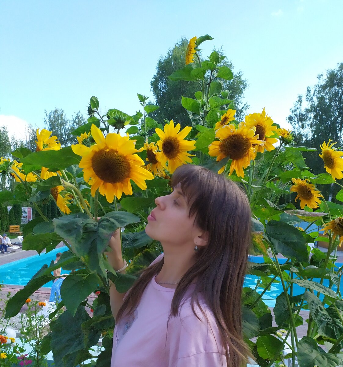 Не все подсолнухи полны семечек