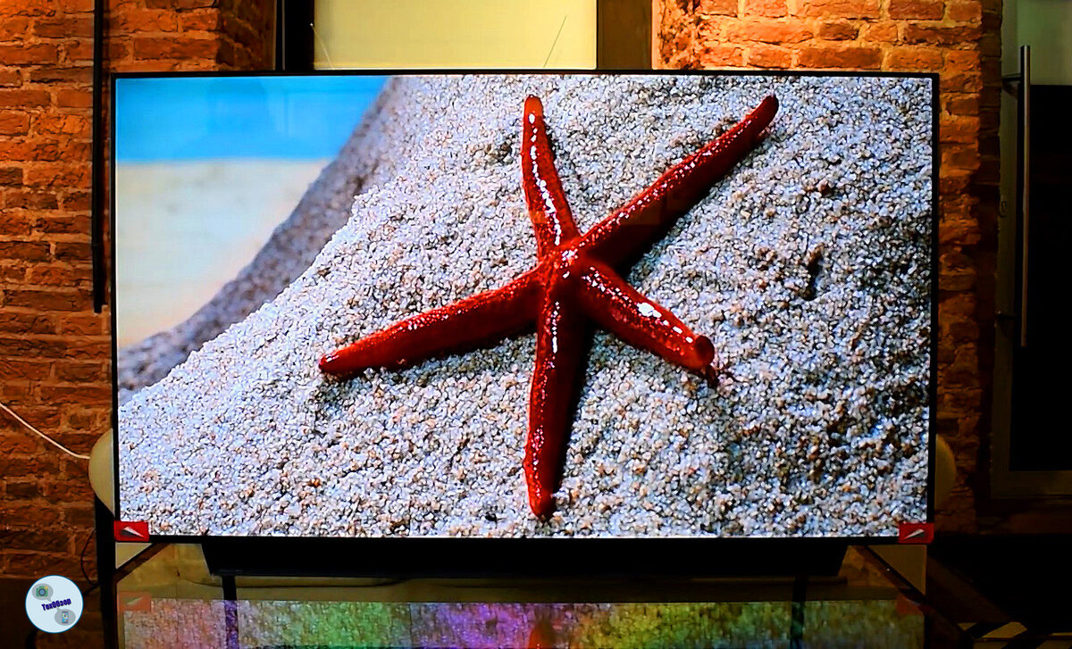 Телевизор LG OLED55CX