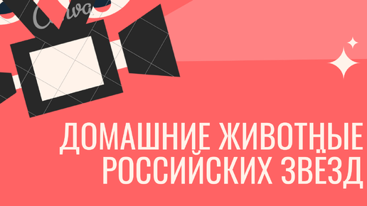 Ахмат - Химки. Гол Александра Жирова (видео). МИР Российская Премьер-Лига. Футбол