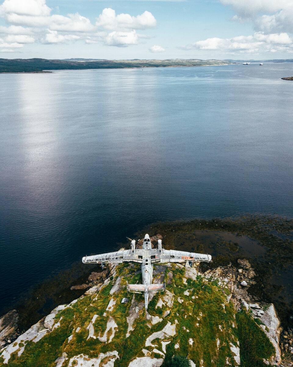 Самый красивый музейный экспонат