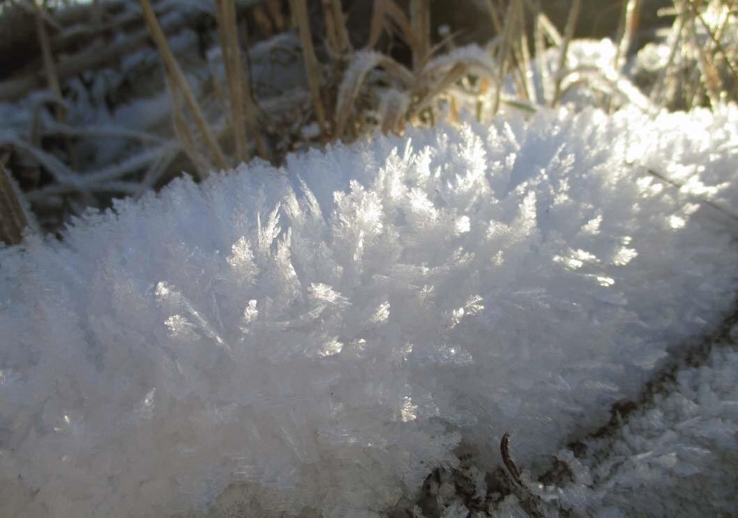 Морозные «художества»