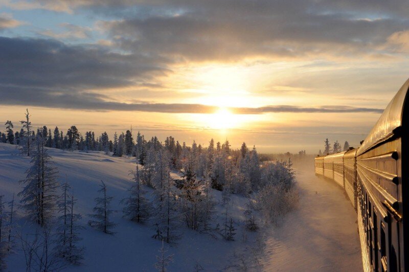 Фото: shutterstock.com