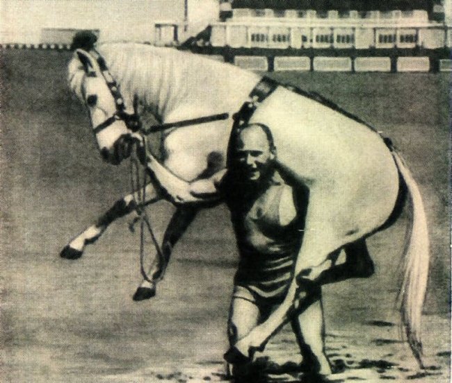 Источник фото: https://wozap.ru/foto-prikoly-interesnoe/4588-7-samyh-silnyh-lyudey-v-istorii-rossii.html