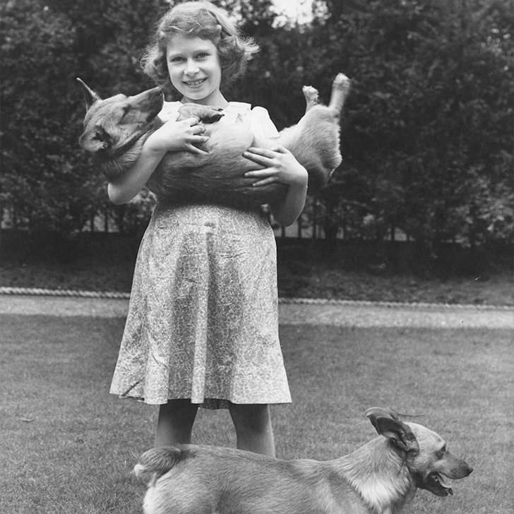 Любовь к собакам с детства