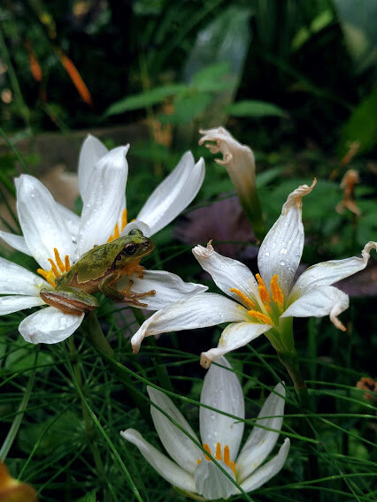 Источник : https://www.instagram.com/_agermay/