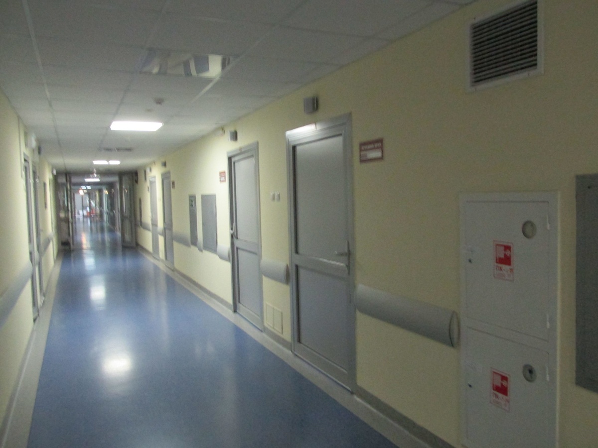 Яндекс картинка