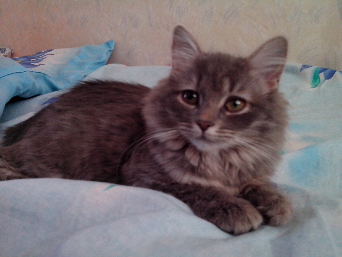 Масяня) фото из архивов автора