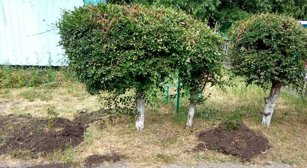 Из детских учреждений велено убрать колеса1
