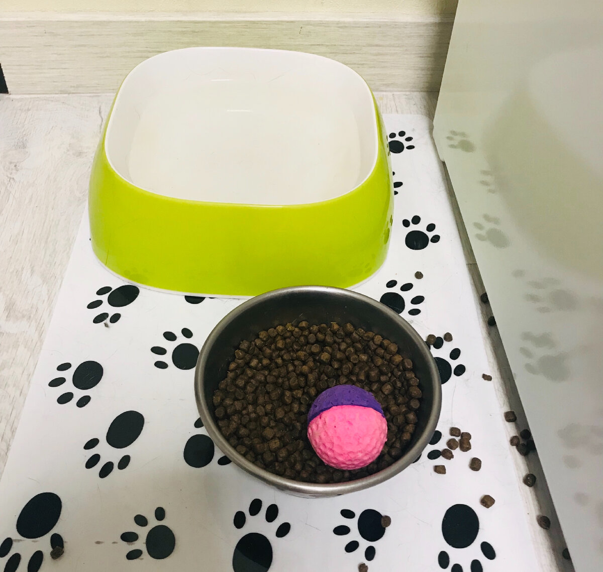 Удачный бросок в миску 