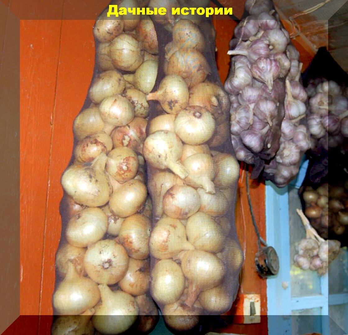 https://vk.com/photo-159774511_457248737
