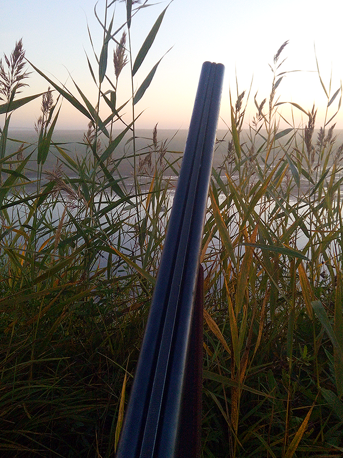 Фото с осенней охоты 2020