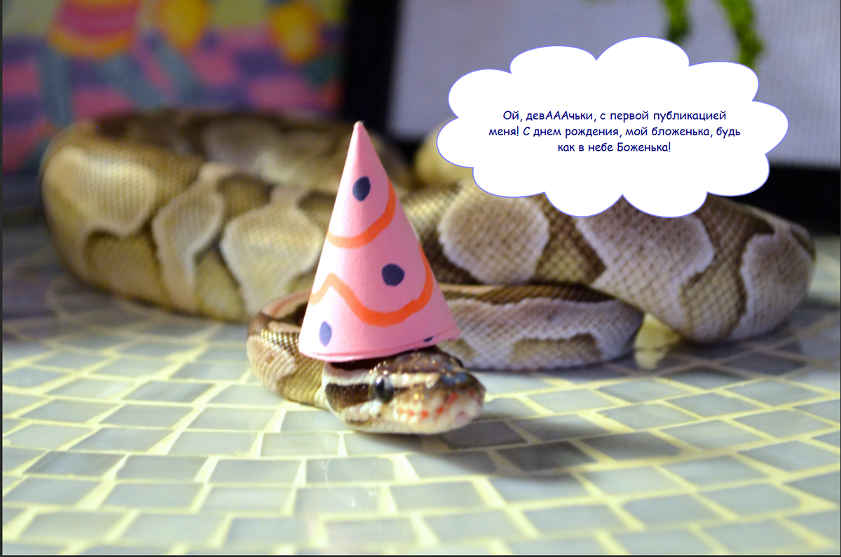 Источник: Яндекс.Картинки