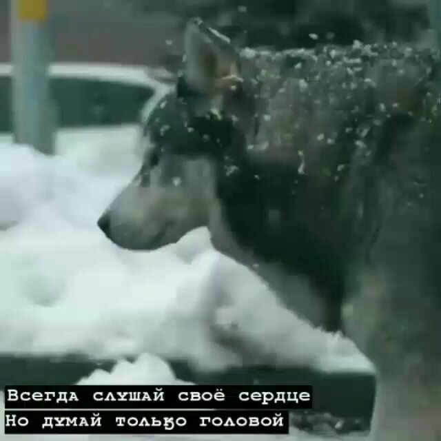 Ведь это правда, если мы что-нибудь захотим в этой жизни , то идём это делать, не подумай о последствиях. 