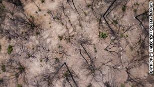 Становится все более вероятным, что в ближайшие пять лет мир достигнет критической точки изменения климата.