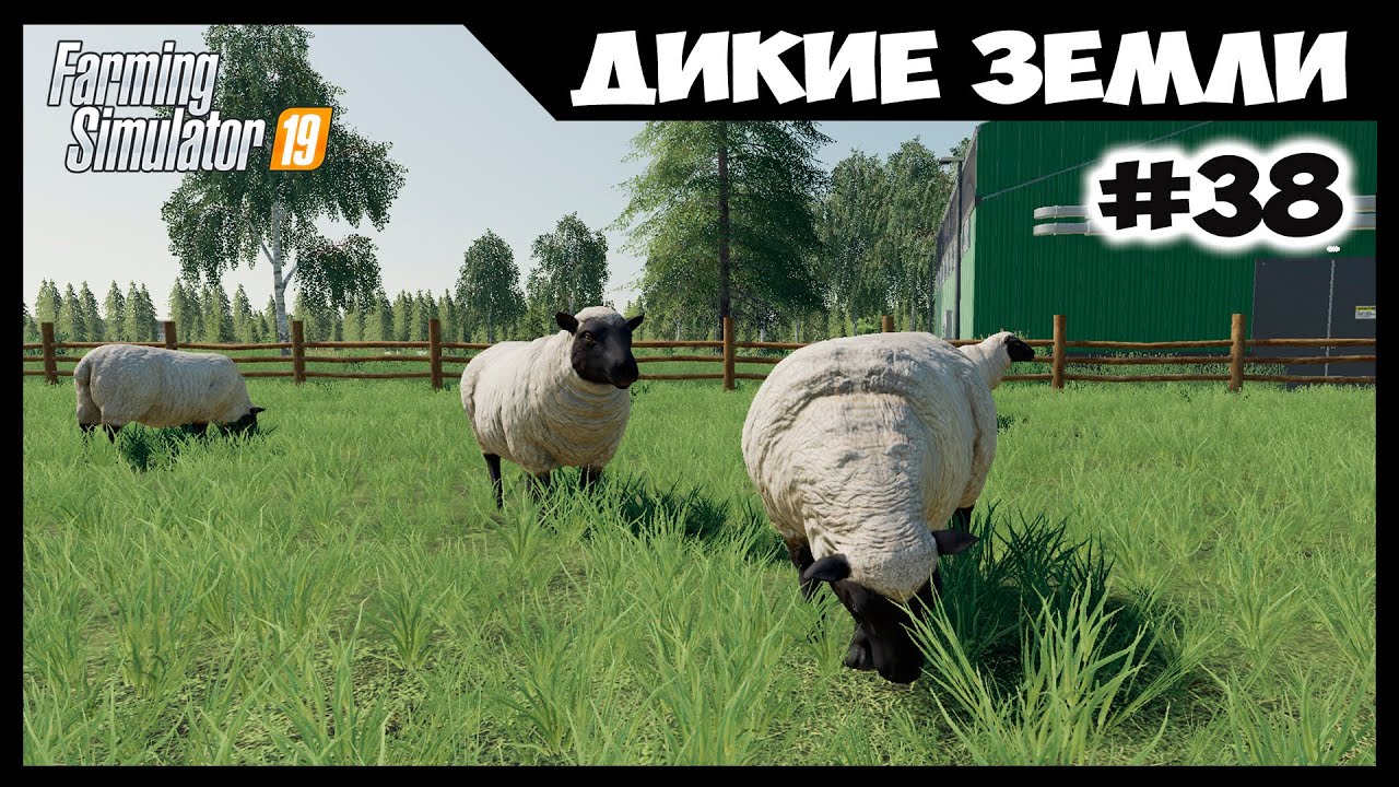 Купил генномодифицированных овец, дают 100кг шерсти // Дикие земли # 38 //  Farming simulator 19