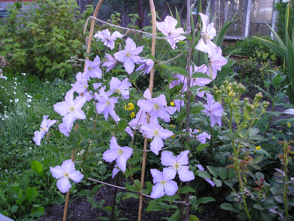 август 2016 г