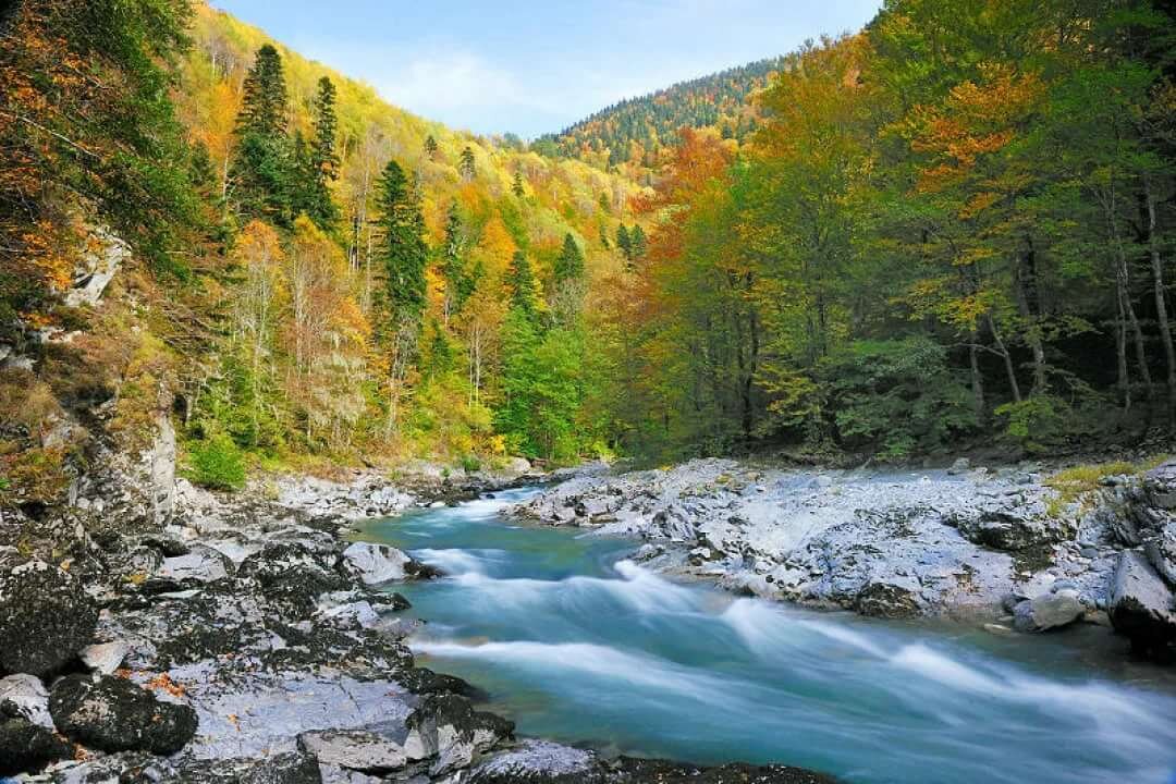 Кавказский заповедник ГП