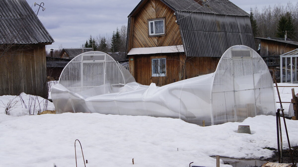 Сейчас, в начале зимы, пока снега еще не так много, еще есть возможность повлиять на ситуацию!