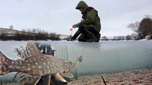 Купить жерлицы для зимней рыбалки: цена, фото, описание | Интернет-магазин Трофей