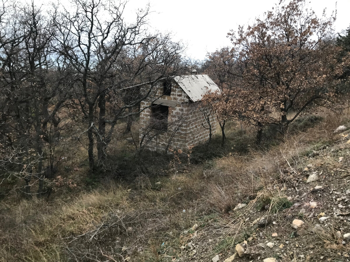 Маршрут дня: Мрия - Понизовка - Кацивели. Дневник зимующего в палатке в  Крыму 26.12.21 | Записки Велопутешественника | Дзен