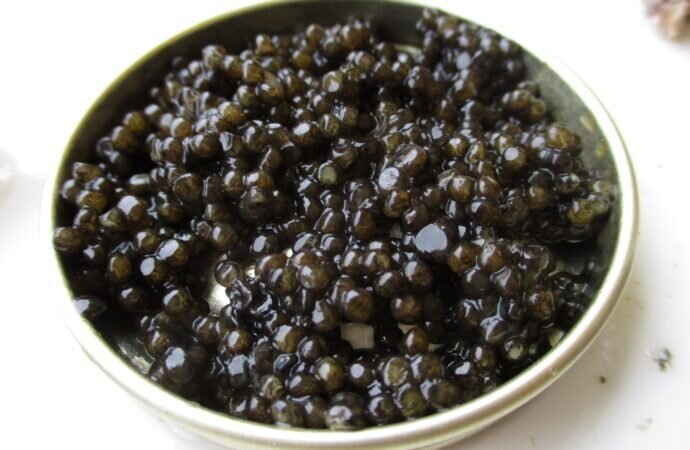 Фото commons.wikimedia.com 