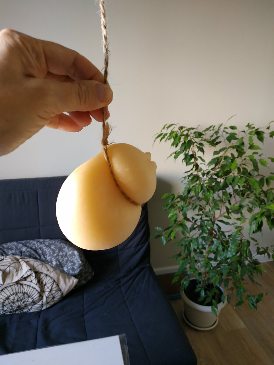 Вот так висят эти сырные человечки и вызревают до нужной готовности сыра